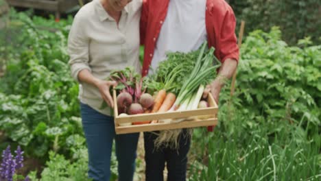 pareja caucásica mayor sonriente caminando con una canasta de verduras en el jardín