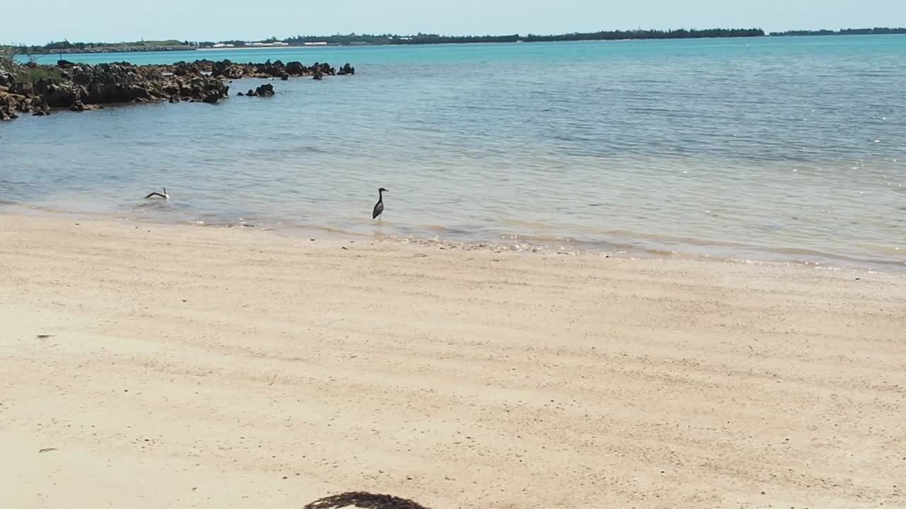 블루 홀 힐 파크 비치, 버뮤다