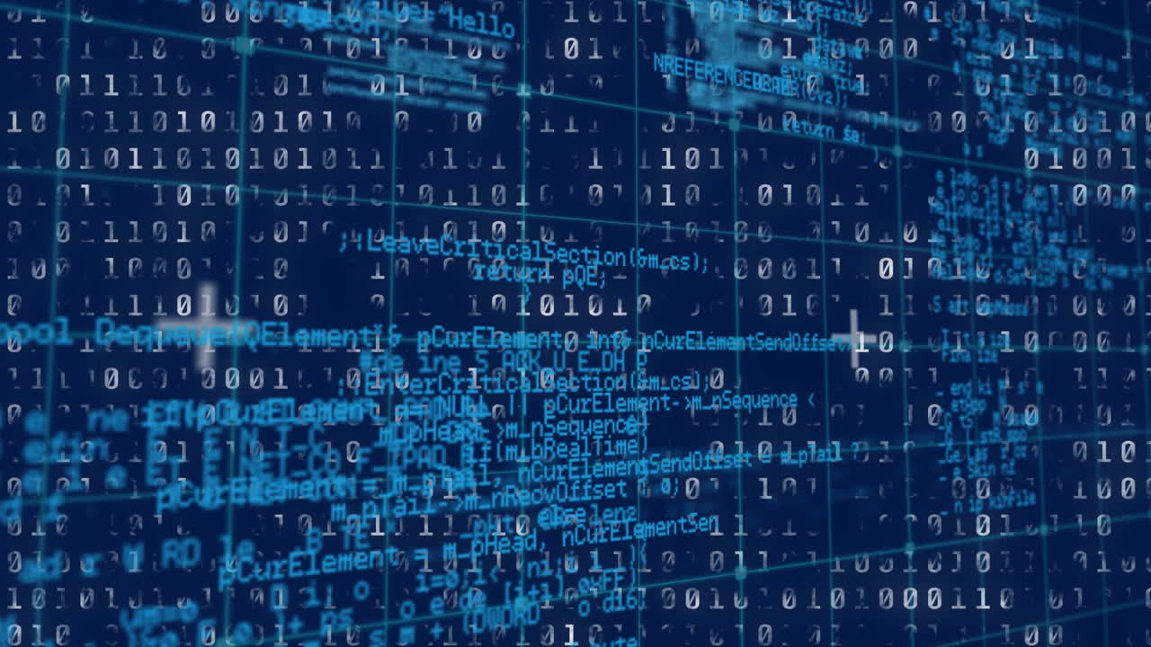 Binary and program codes