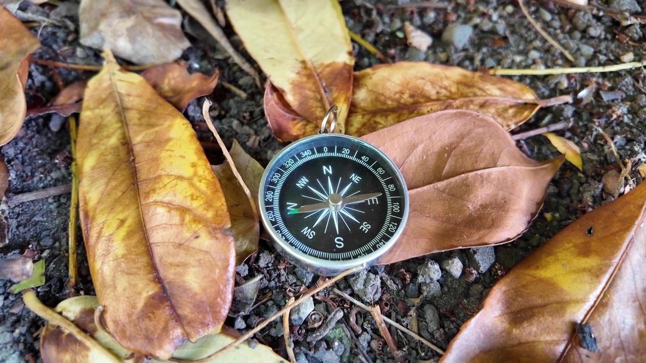 Compass on Autumn Leaves for Woodland Navigation