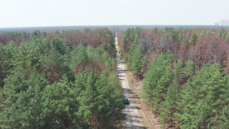 Fliegen-In-Der-Sperrzone-Von-Tschernobyl-über-Einem-Wald