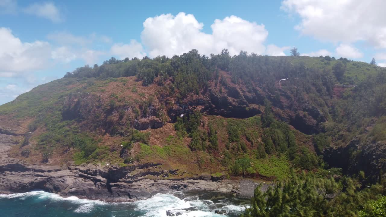 Gimbal wide panning shot of seabirds flying around the steep cliffs at Kilauea Point National Wildlife Refuge on the north shore of Kaua'i, Hawai'i