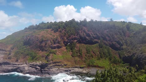 gimbal wide panning shot of seabirds flying around the steep cliffs at kilauea point national wildlife refuge on the north shore of kaua'i, hawai'i