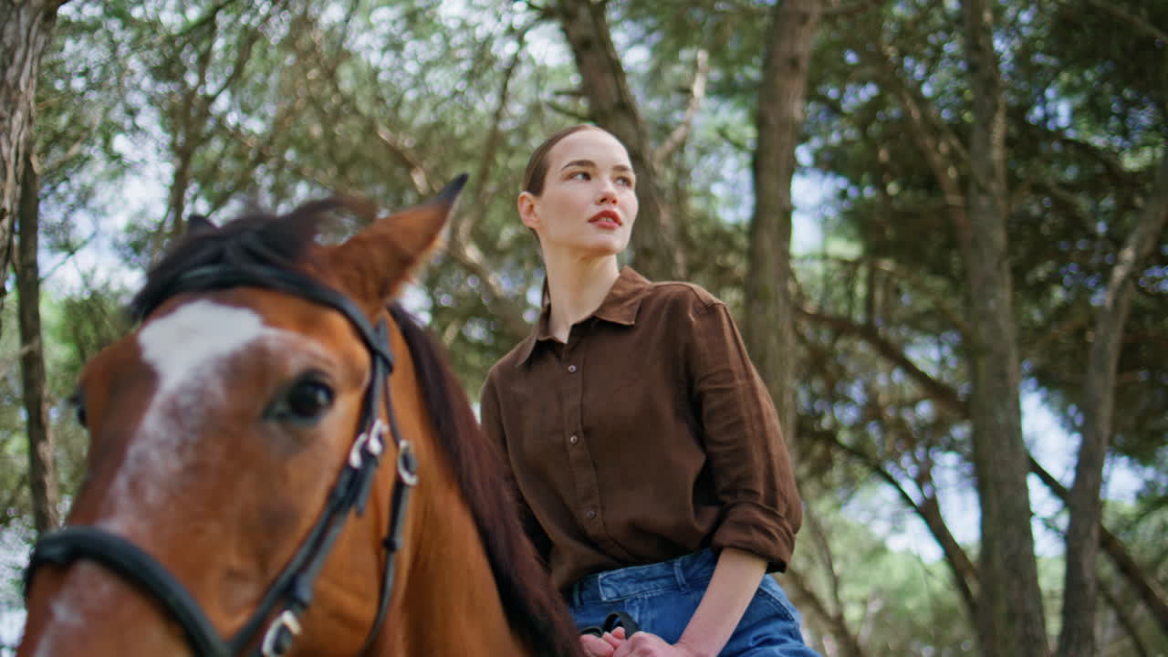 Jockey girl looking distance riding horse at woods closeup. Lady sitting saddle
