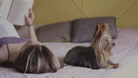 Small-Dog-Lying-In-Bed-With-His-Female-Owner-At-Home