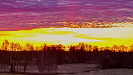 golden super bright sky over silhouette of trees in rural landscape, fusion time lapse