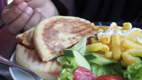 delicious grilled sandwich with fries and salad