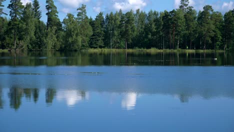 a small lake with two runners in the background and forest behind them