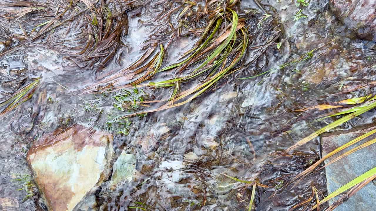 A stream flows over rocks and vegetation, creating dynamic water patterns. Natural lighting enhances the earthy tones and textures