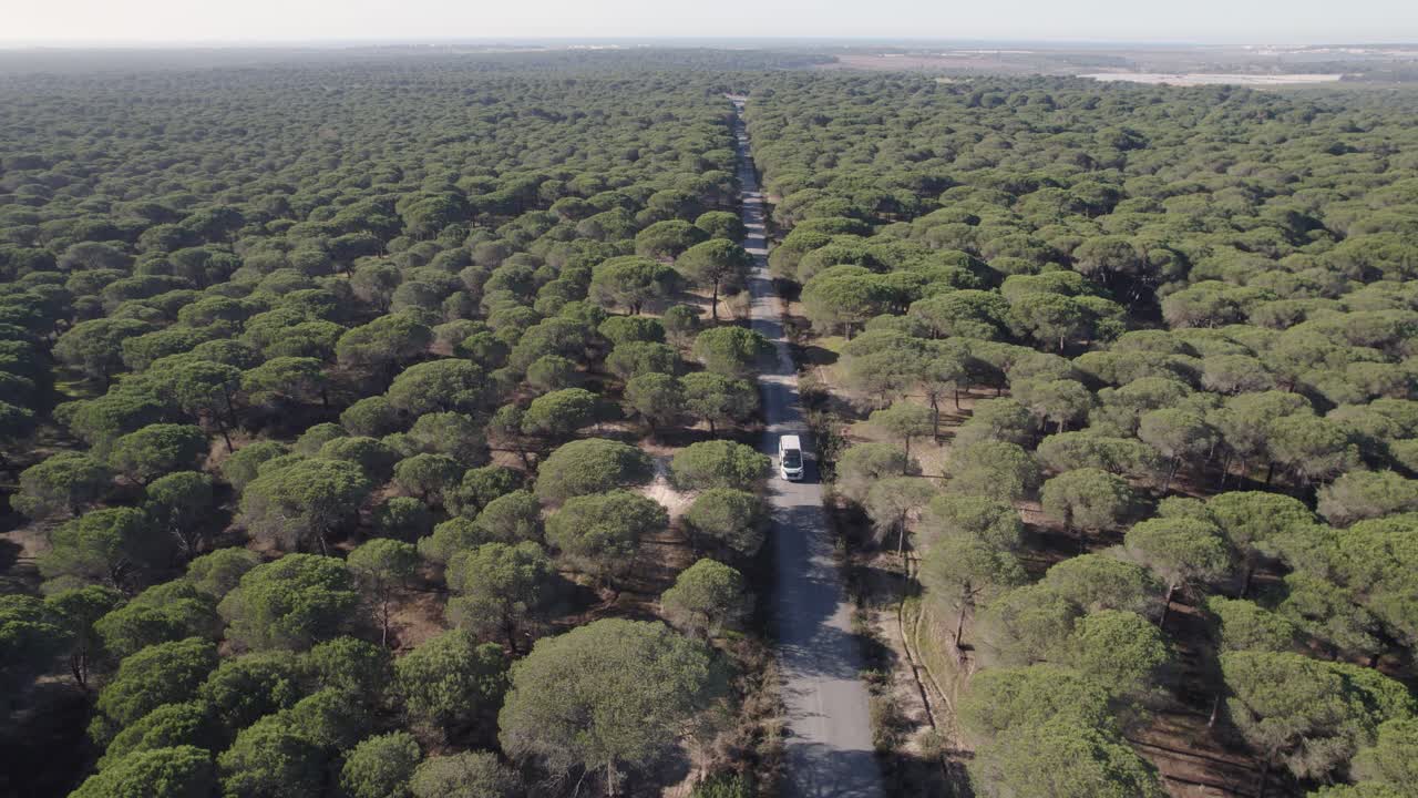 스페인 시골 도로 여행에서 삼림 지대 나무를 통해 좁은 길을 운전하는 캠핑카 캠퍼밴에 대한 공중 전망
