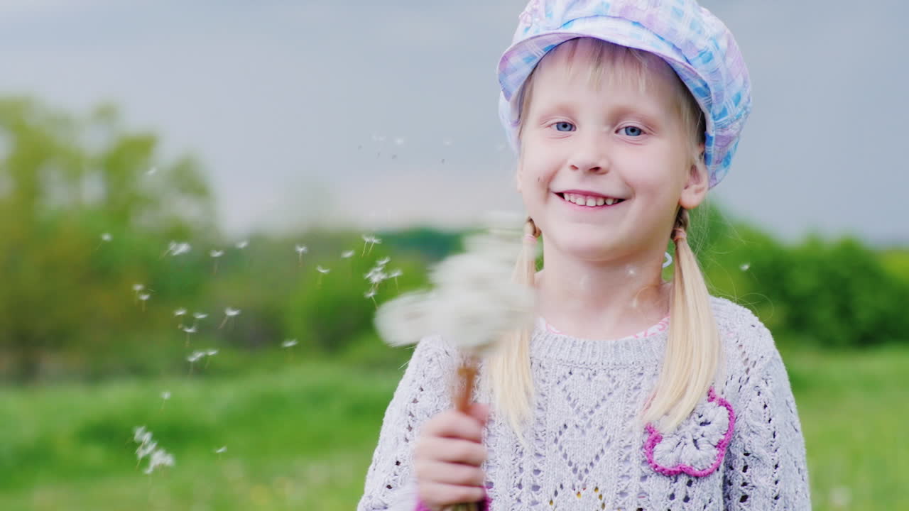 아이는 민들레와 놀고 씨앗을 날려 버립니다