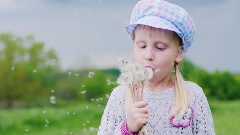 child plays with dandelion and blows away the seeds