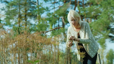 woman gardening