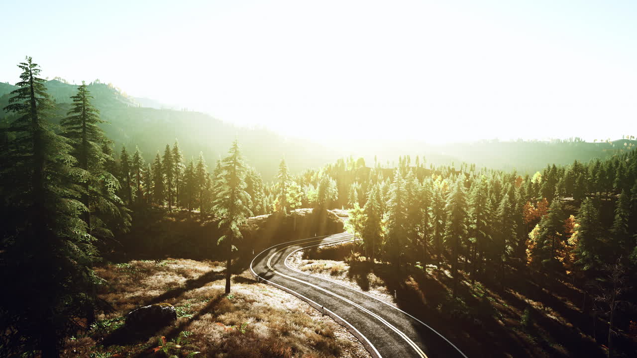 산림 을 가로지르는 경치 좋은 휘어지는 길