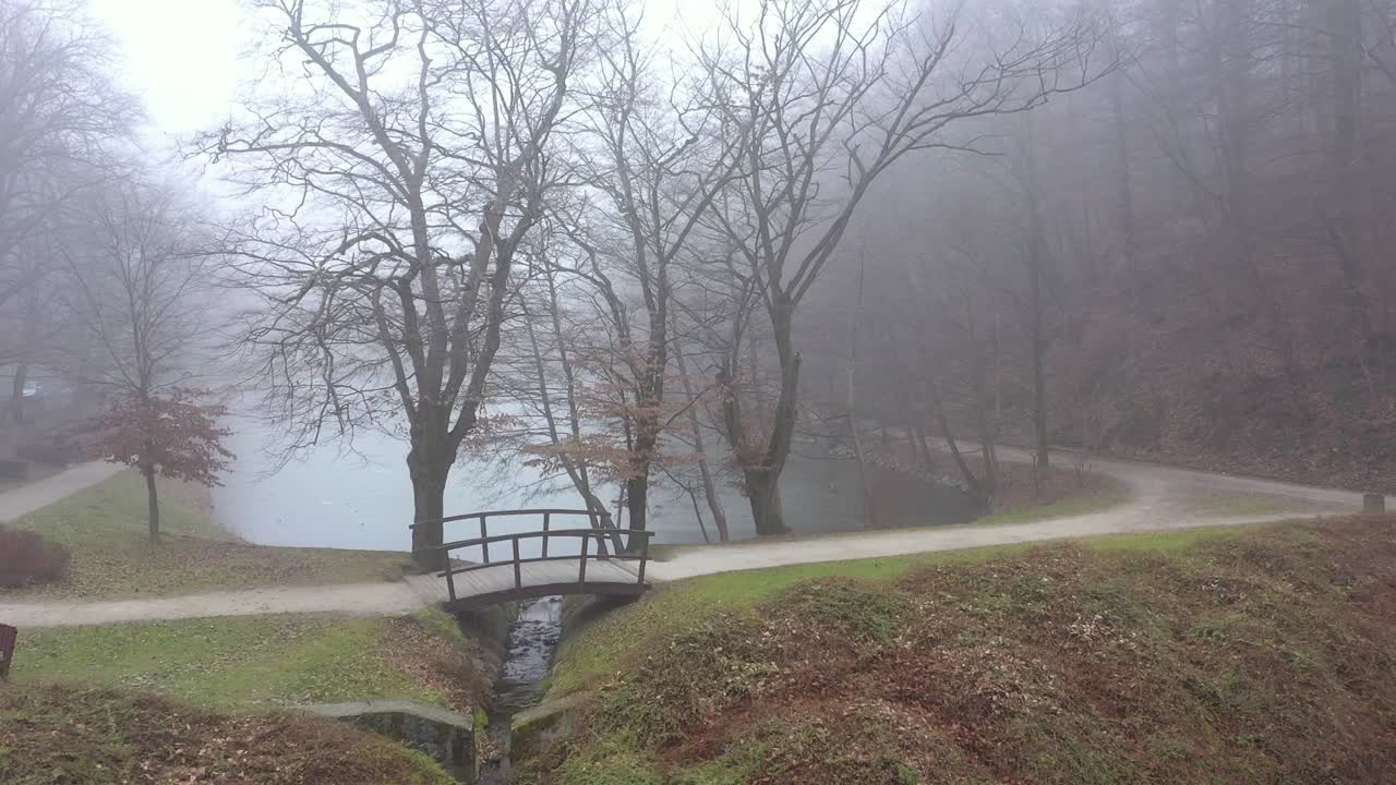 안개 낀 아침 동안 산림의 작은 강 옆 시골길의 평화로운 풍경