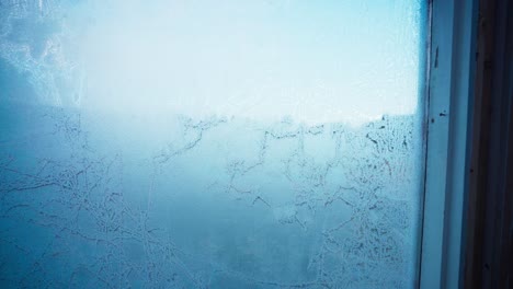 a snow-frosted window of a greenhouse - close up