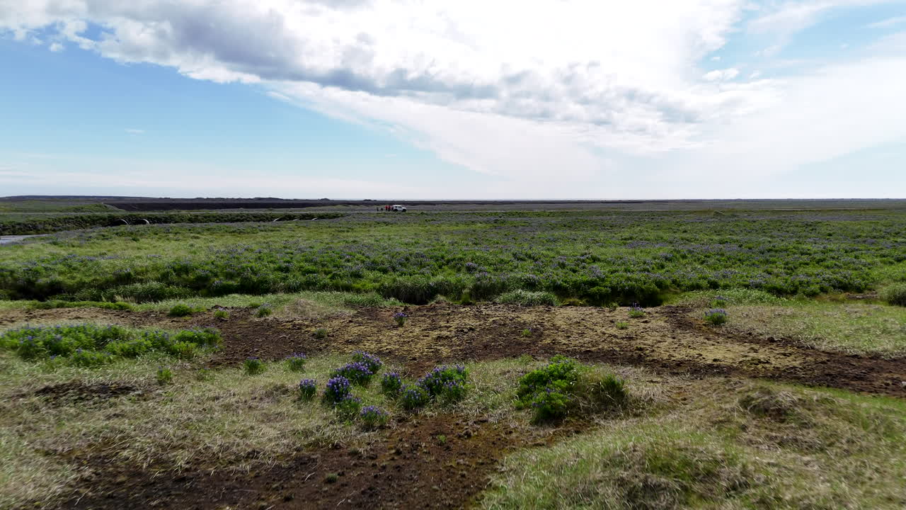 Vista aerea da drone dei campi islandesi e dei fiumi tortuosi vicino al ghiacciaio Mýrdalsjökull, che mostra vaste pianure verdi, terreno vulcanico e spettacolari paesaggi delle zone montuose meridionali