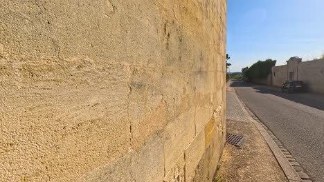 las flores florecen contra una histórica pared de piedra