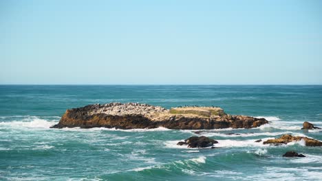 Pescadero-state-beach-and-cliffs-number-one