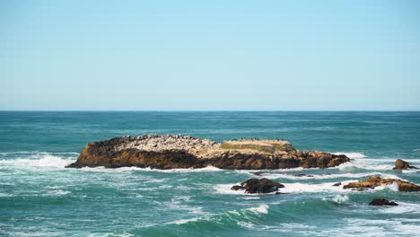 pescadero state beach and cliffs number one