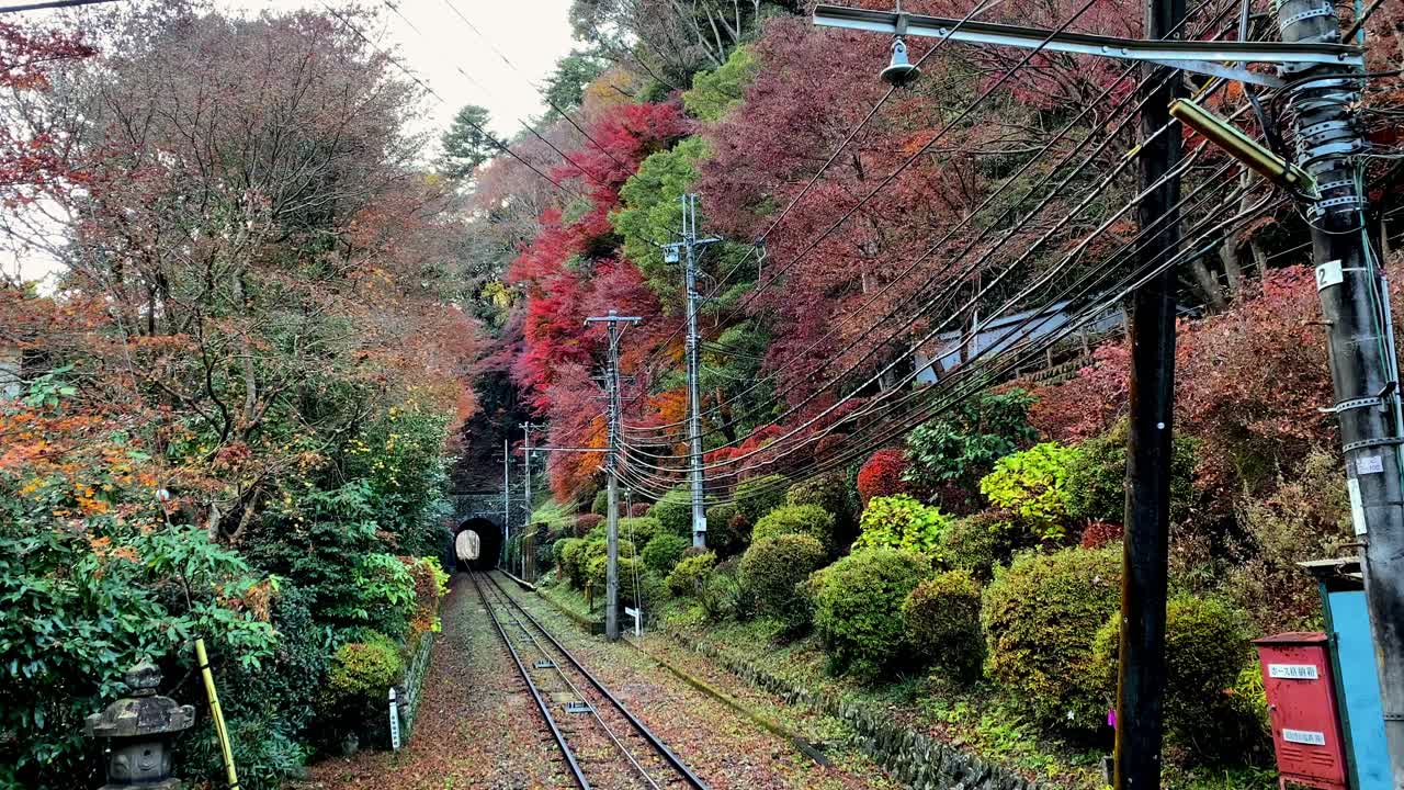 Mount Takao Day Trip: Explore Tokyo's Favorite Mountain