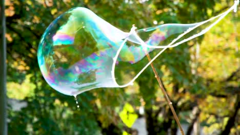 soap bubbles forming, floating and popping