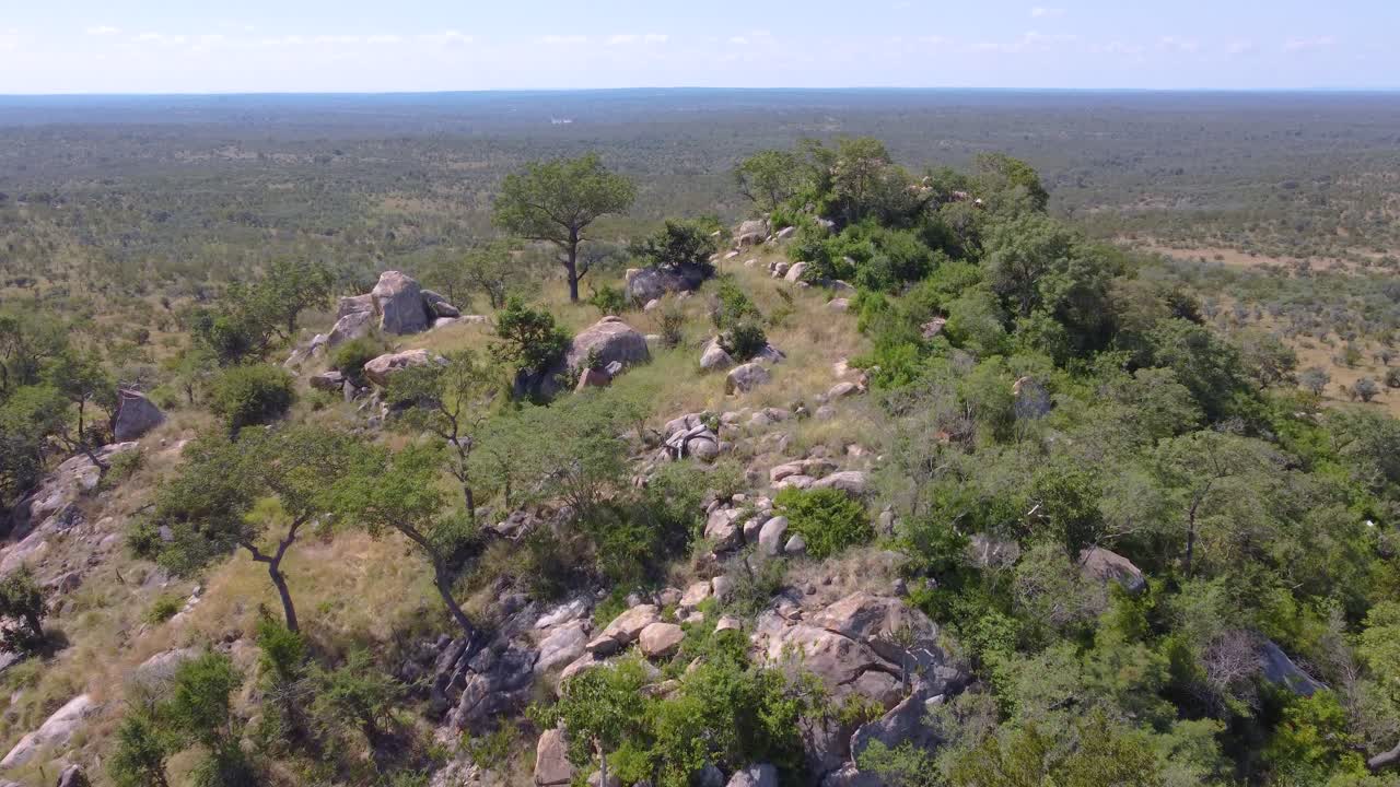 взгляд с воздуха на пейзаж африканской саванны