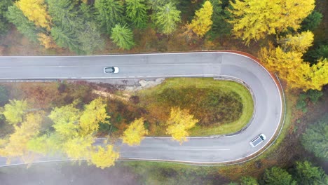 aerial drone view of u turn road curve in autumn fall forest with cars travelling around the bend - 4k italy