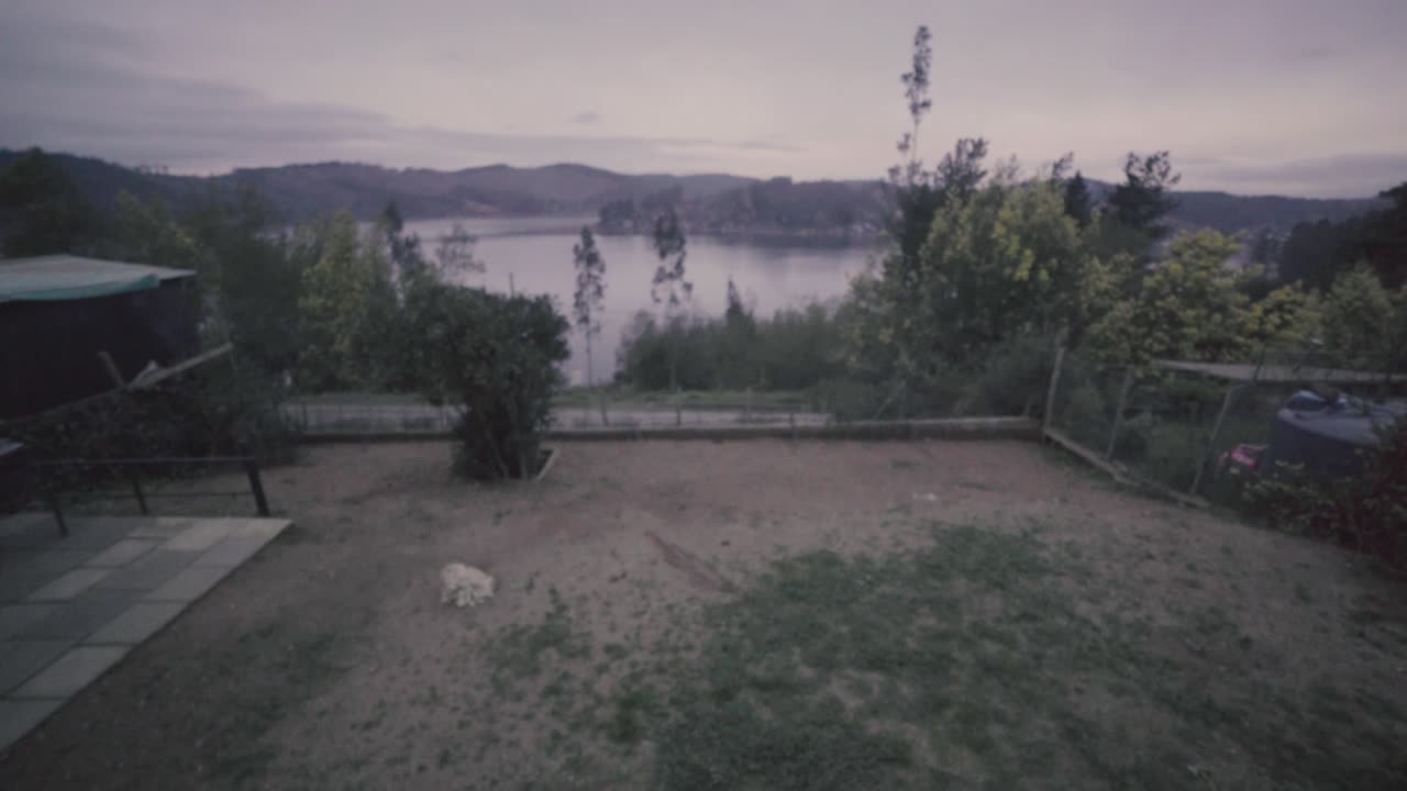 hd de una mujer y su casa de perro al aire libre frente a un lago