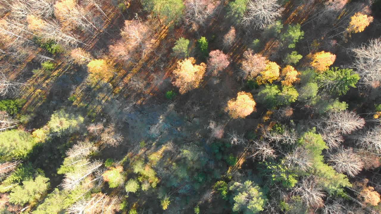 드론 영상, 상단