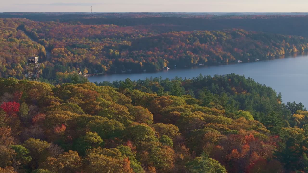 Lush autumn trees surrounding a calm lake in dorset, ontario during fall, aerial view