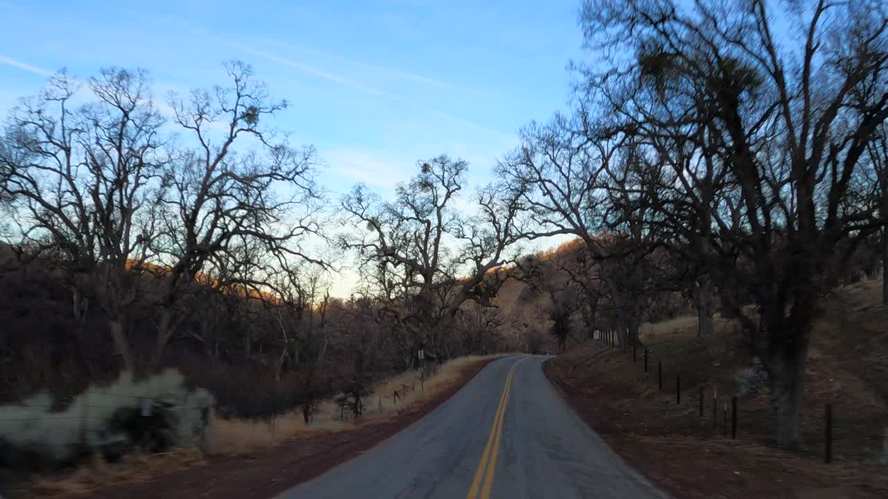 사슴이 길을 건너는 겨울 동안 테하차피 산맥의 시골길을 따라 운전하다