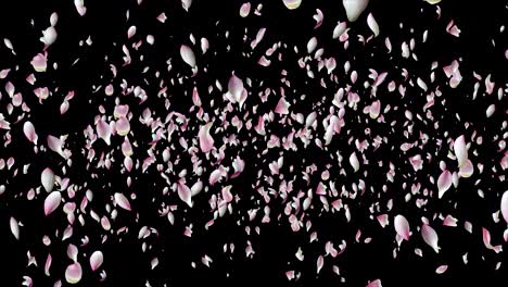 el loto rosado volando.