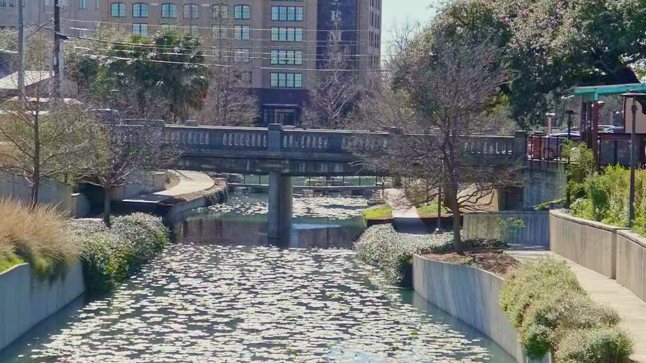 강에 떠있는 릴리 패드를 천천히 축소하는 운하 카메라 위의 콘크리트 다리 위를 여행하는 자동차