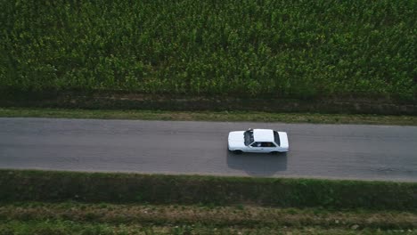 seguimiento aéreo de vista superior, bmw e30 clásico moviéndose en un paisaje rural