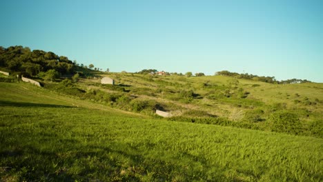 green field background at sunset with trees, hills, rural path, stone house, blue sky