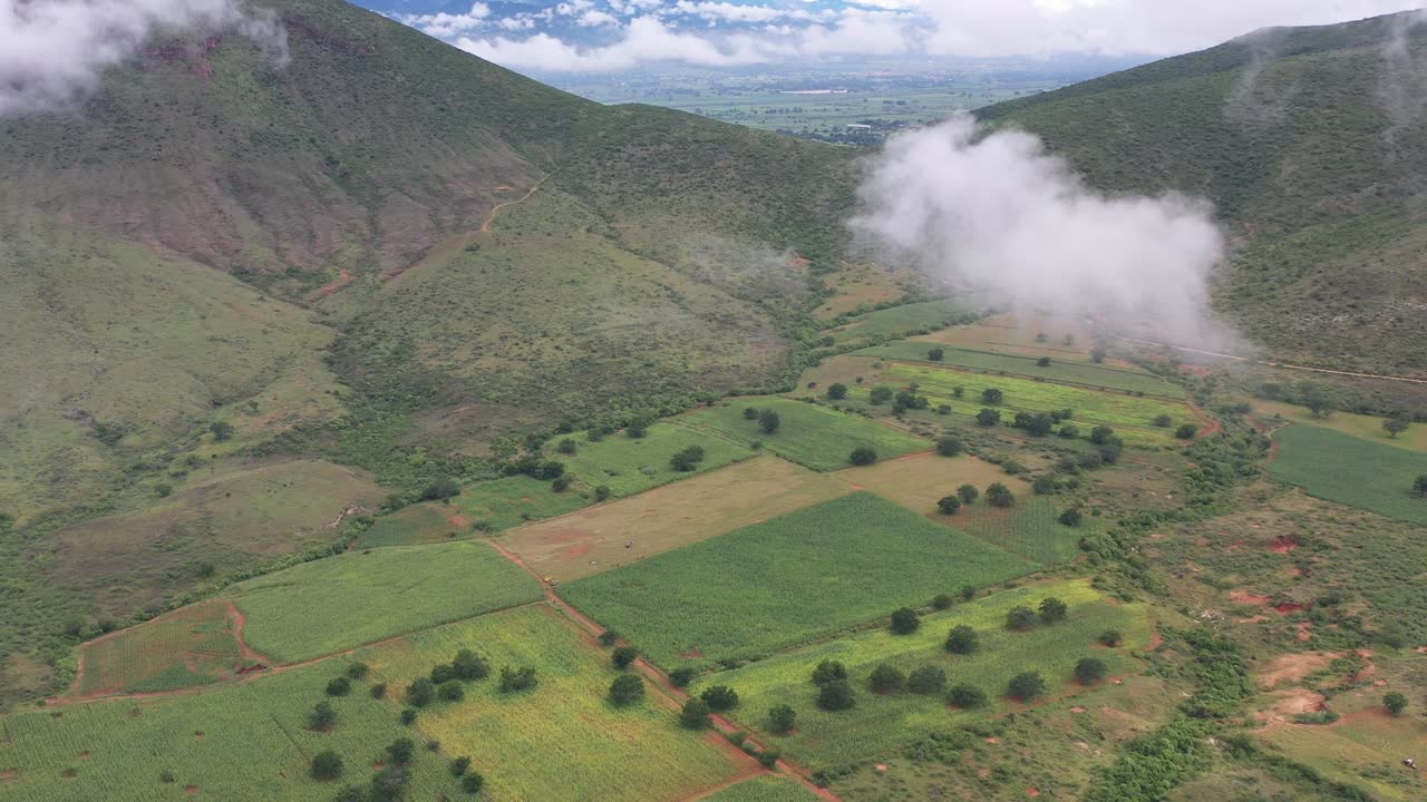 오악사카의 농작물 밭 조감도