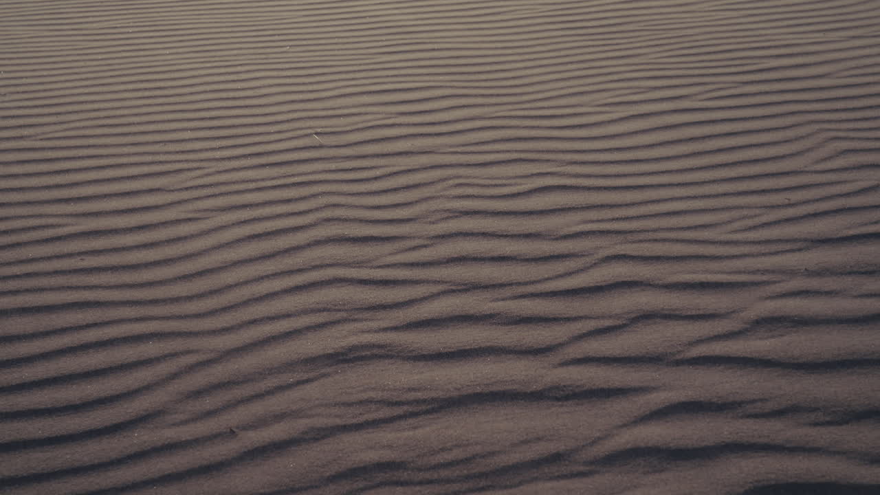 사막의 모래 파동