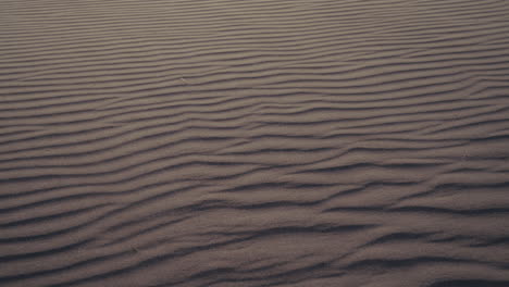 las ondas de arena del desierto