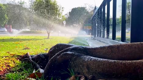 Irrigation-system-for-urban-garden