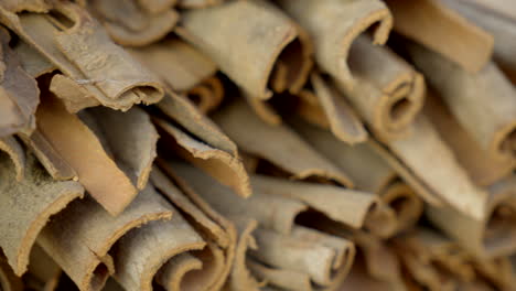 cinnamon close-up, fragrant fresh cinnamon in twisted sticks, cinnamon barks