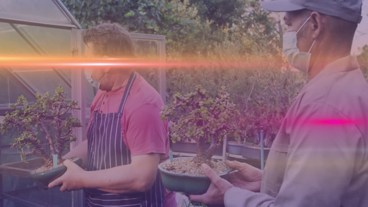 Two men holding bonsai in greenhouse, showing animated growth charts for education content