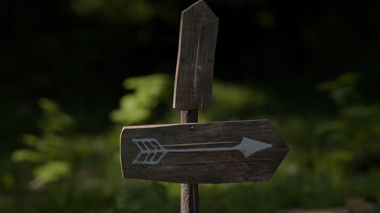 Directional Wooden Signpost in Nature