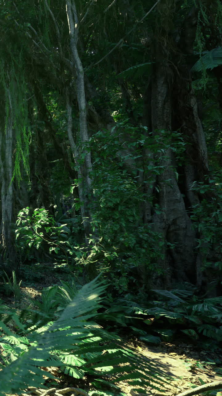 Esplorando la fitta foresta verde a mezzogiorno con la luce del sole che filtra