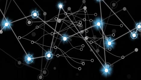 animación de redes de conexiones y procesamiento de datos