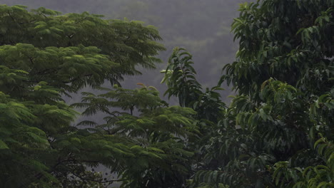 rainfall in krabi, thailand during the tropical rainy season, showcasing the lush landscapes of southeast asia