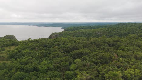 drone advancing over an immense vibrant green jungle with the river in the background