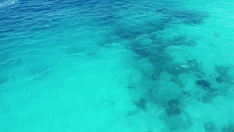 aerial drone view flying over turquoise ocean water with coral reef in coral triangle region of timor-leste, southeast asia