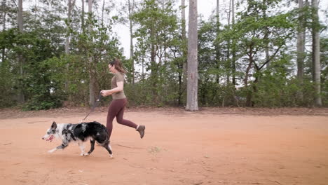 girl takes her australian shepherd for a walk near a forest