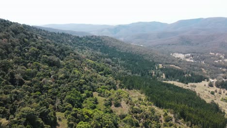 Avión-Teledirigido-Sobre-Una-Montaña-Nativa-Australiana-Con-árboles